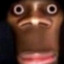suxariknoobik