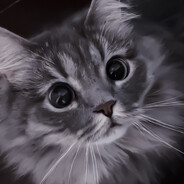 meow