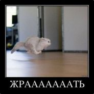 Houston We Have a Problem