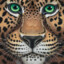 Leopard_Legends