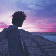 小扬羊在线炒饭