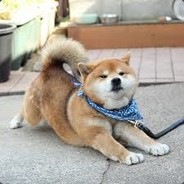 hiyoshi
