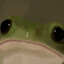 Kermit