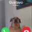 Gustavo