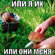 ИЛИ Я ИХ ИЛИ ОНИ МЕНЯ