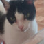 superpixel