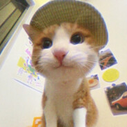 无敌厉害的小乔大王