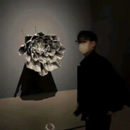 鸭嘴兽的联系人