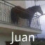 juan fuma k9