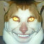 Zyn