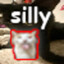 silly