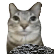 東南寶島兩岸心