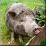 Yvl - steam id 76561197971481399