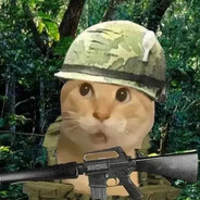 哈基咪南北绿豆