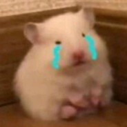 鼠鼠我叫存子QAQ