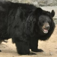 190黑皮肌肉体育生