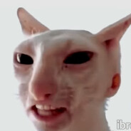 tobyk2
