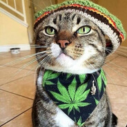 Ганжубарсик