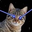 LazerCats