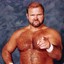 Arn Anderson