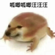 呱唧呱唧汪汪汪