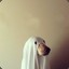 teddy.yudain