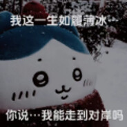 华为机器人Pro Max