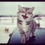 ₪ МàŠŦèŘ ₪