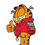GARFIELD LASAGNA