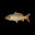 fih