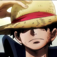 超级帅的小暴龙