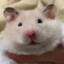 pikapoo