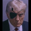 Punished Trump