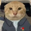 OrangeCat