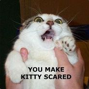 assandcatfood - steam id 76561197961170154