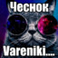 м9lсополовничестBo
