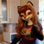 Paladin_Foxball