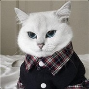那就飞嘛