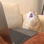 今天没有冰可乐