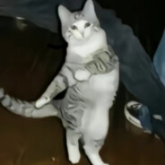 鲈鱼