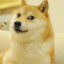 游客