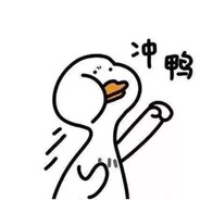 沙雕小柯基