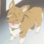 EIN