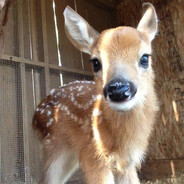 f4wn - steam id 76561199051922427