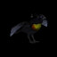 birdbirdbirdbirdbird