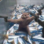 她糖尿病害我蛀牙丶