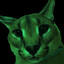 Avatar of Papaya Bumpkin
