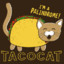 MrTacoCat