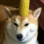 CornDoge