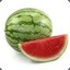 The Green Melon